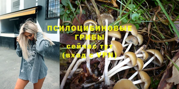 альфа пвп Зеленодольск