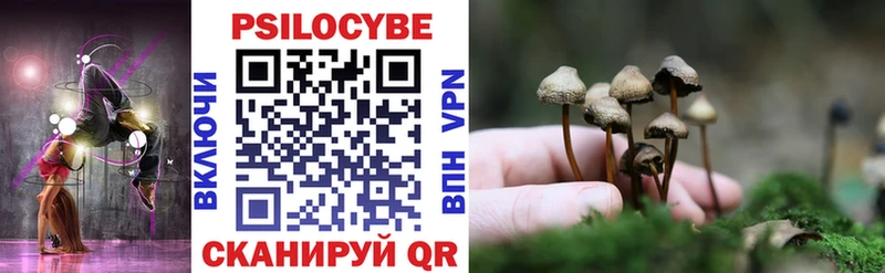 Галлюциногенные грибы Cubensis  Купить закладки  Октябрьск 